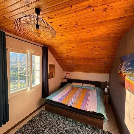 Villa Maison Avec Piscine 14 Personnes Doussard