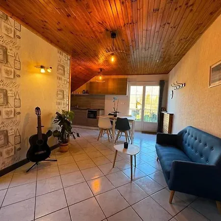 Villa Maison Avec Piscine 14 Personnes Doussard