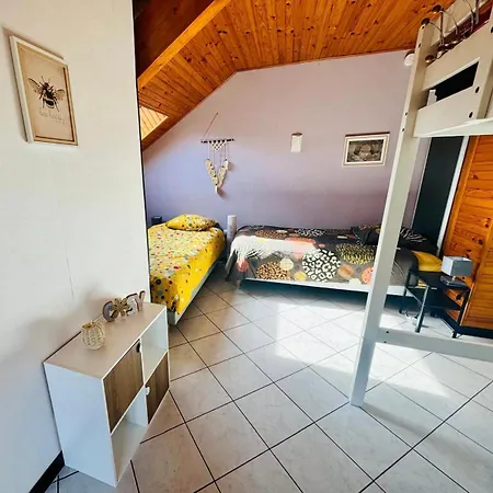 Villa Maison Avec Piscine 14 Personnes Doussard