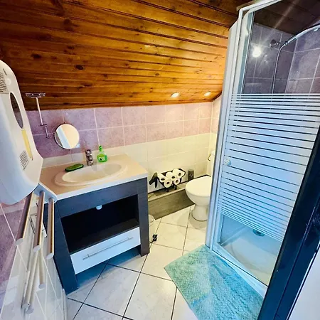 Maison Avec Piscine 14 Personnes * Doussard